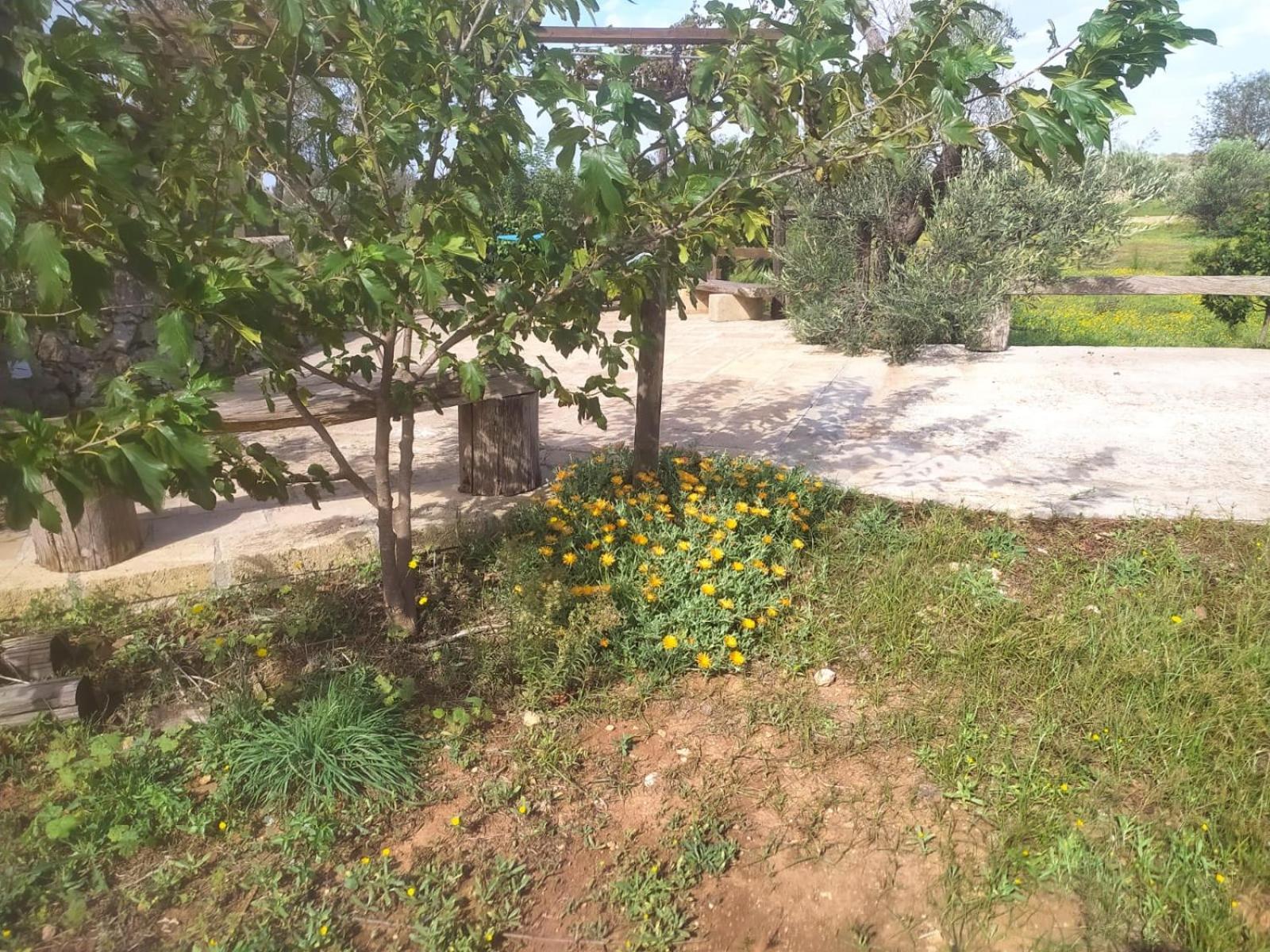 Trullo Contrada Stracca Guest House Alliste Exterior foto